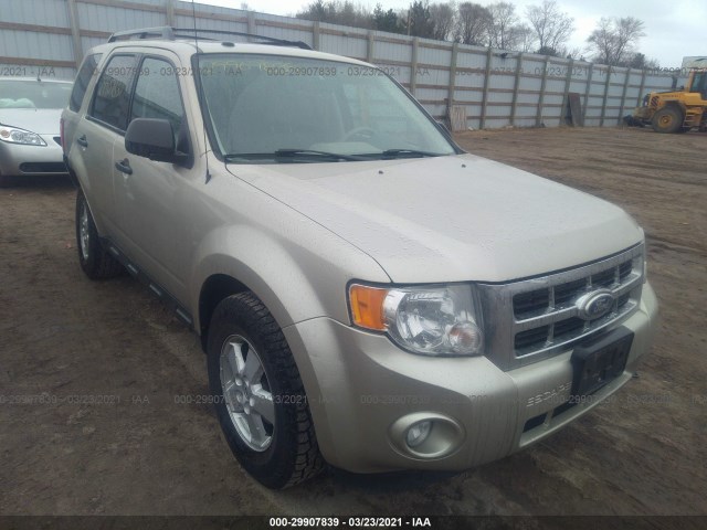 Ford Escape (2010)