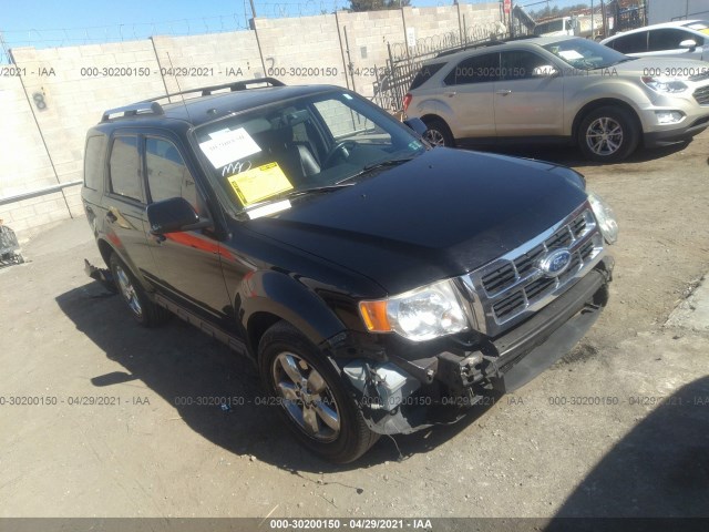 Ford Escape (2010)