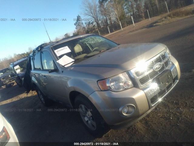 Ford Escape (2010)