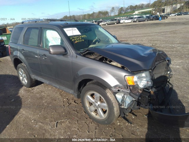 Ford Escape (2010)