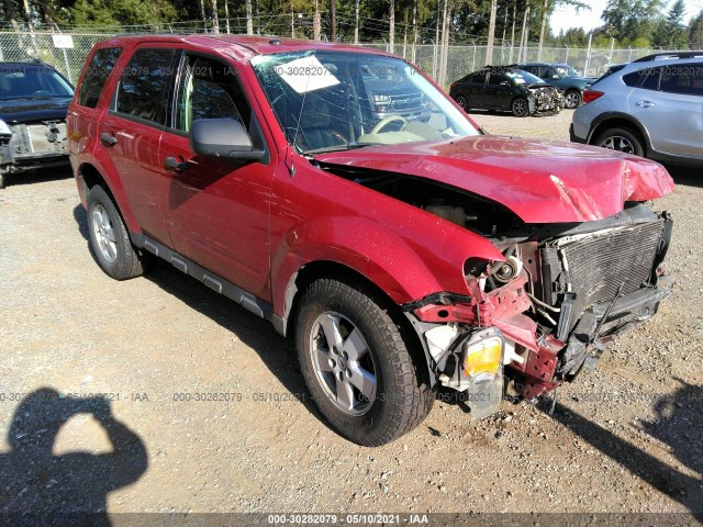 Ford Escape (2011)