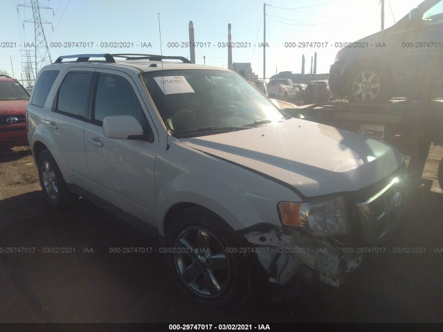 Ford Escape (2011)