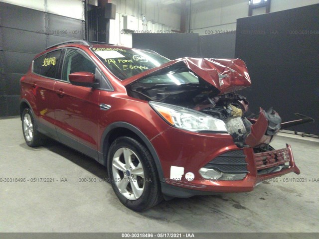 Ford Escape (2014)