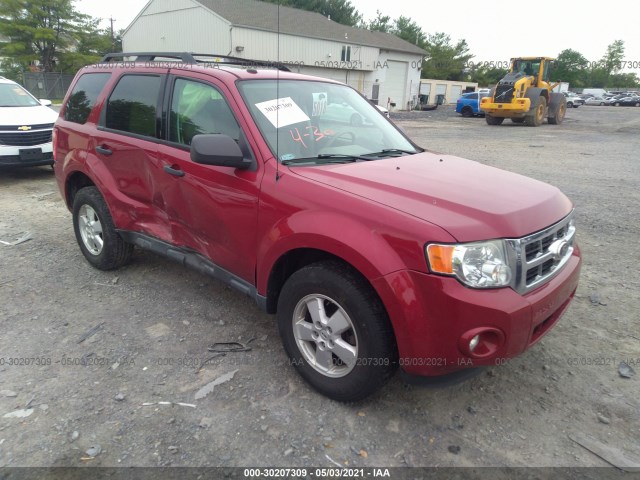Ford Escape (2010)