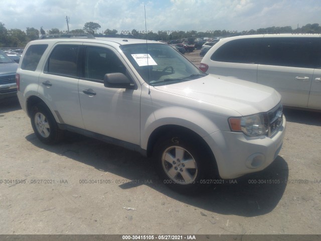 Ford Escape (2010)
