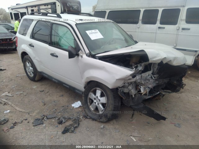 Ford Escape (2010)