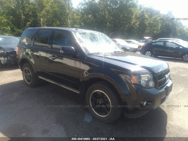 Ford Escape (2011)