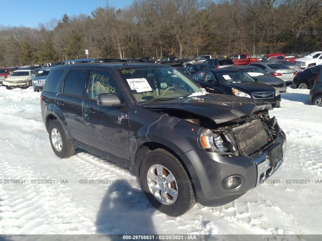 Ford Escape (2012)