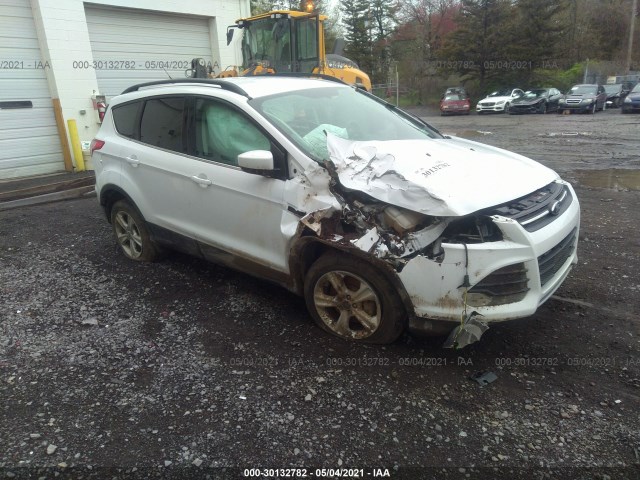 Ford Escape (2014)