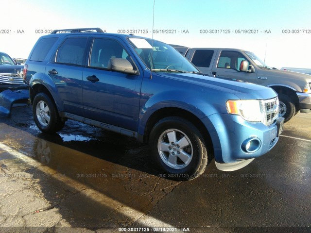 Ford Escape (2010)