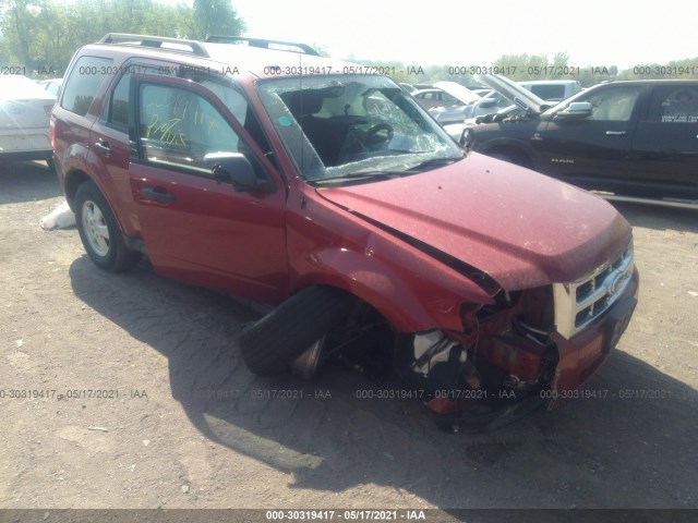 Ford Escape (2010)