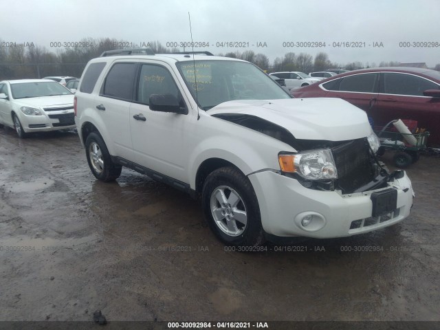 Ford Escape (2010)