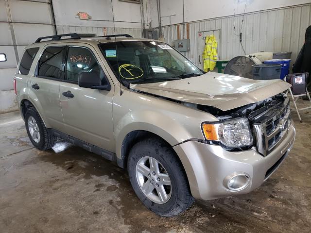 Ford Escape xlt (2010)