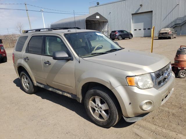 Ford Escape xlt (2010)