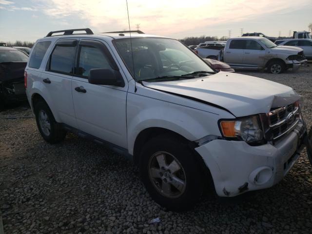 Ford Escape xlt (2010)