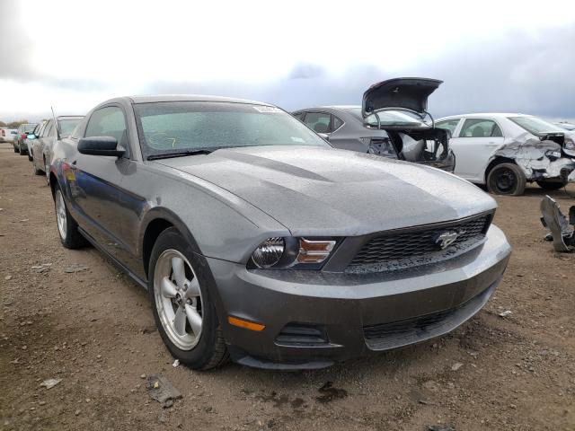 Ford Mustang (2010)
