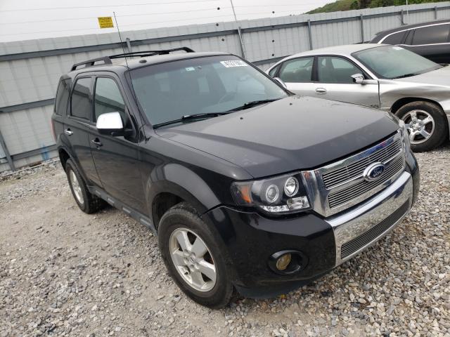 Ford Escape xlt (2011)