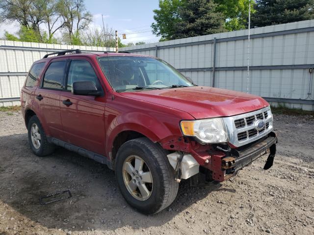 Ford Escape xlt (2011)