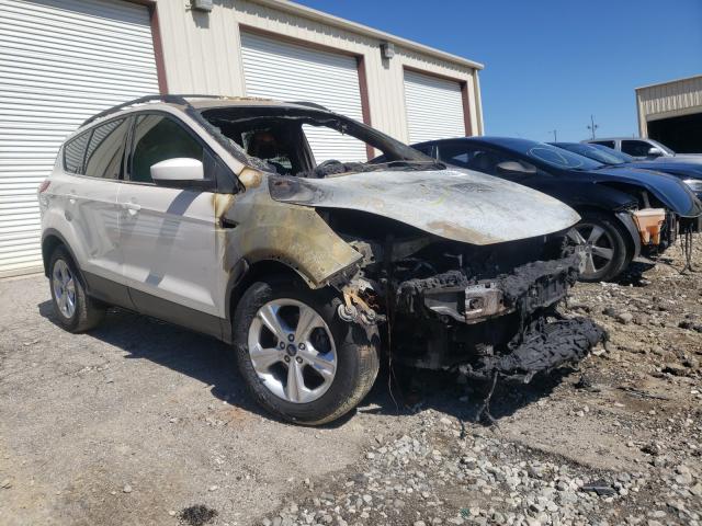 Ford Escape se (2013)