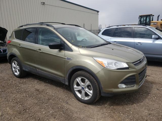 Ford Escape se (2013)