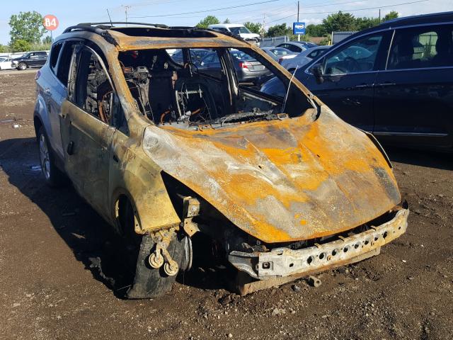 Ford Escape sel (2013)
