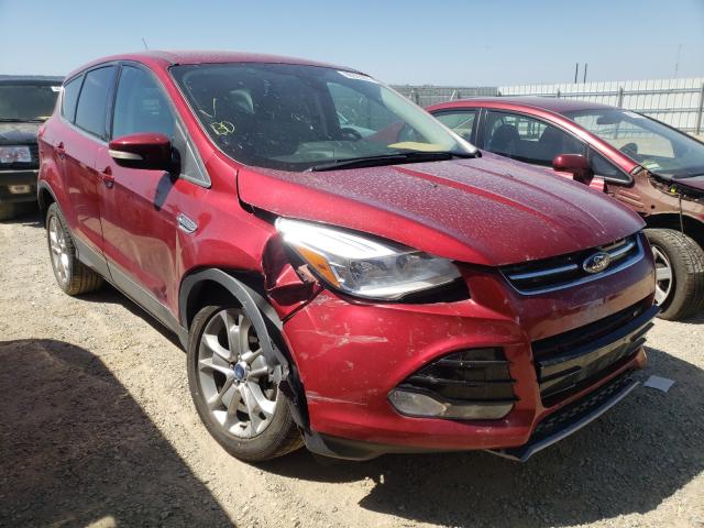 Ford Escape sel (2013)