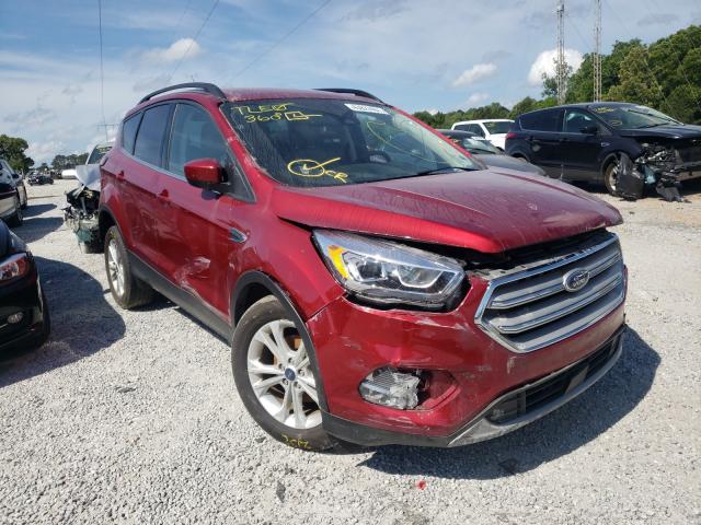 Ford Escape sel (2019)
