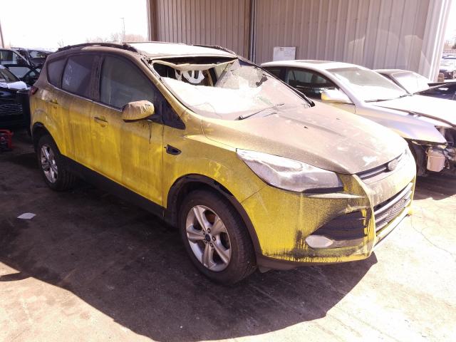 Ford Escape se (2013)