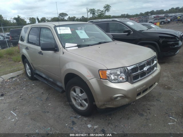 Ford Escape (2010)