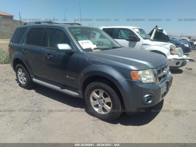 Ford Escape (2010)