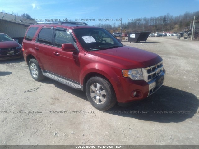 Ford Escape (2010)
