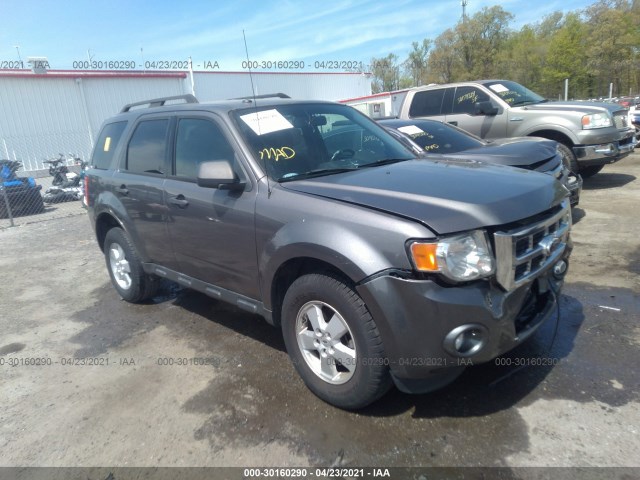 Ford Escape (2010)