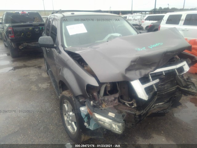 Ford Escape (2010)