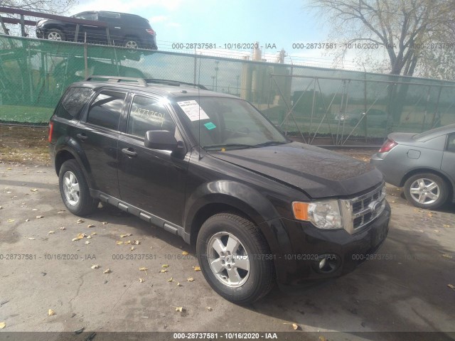 Ford Escape (2010)