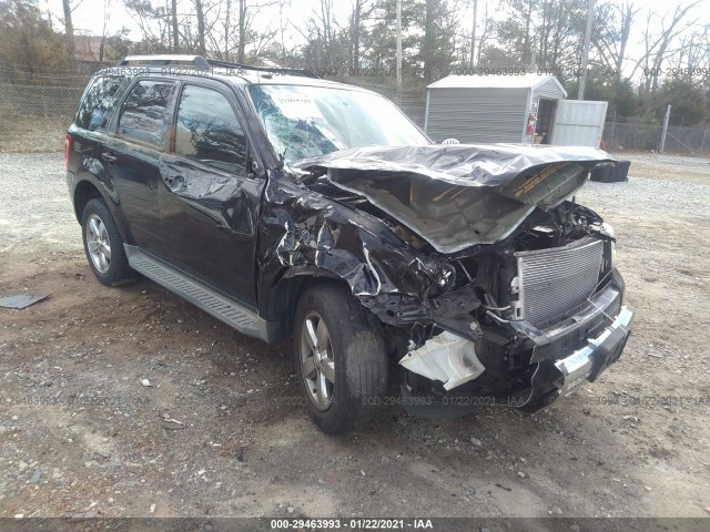 Ford Escape (2010)