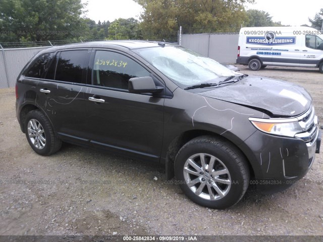 Ford Edge (2011)