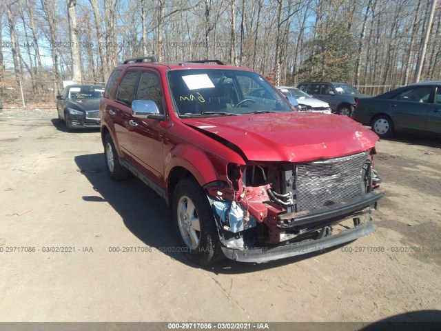 Ford Escape (2011)