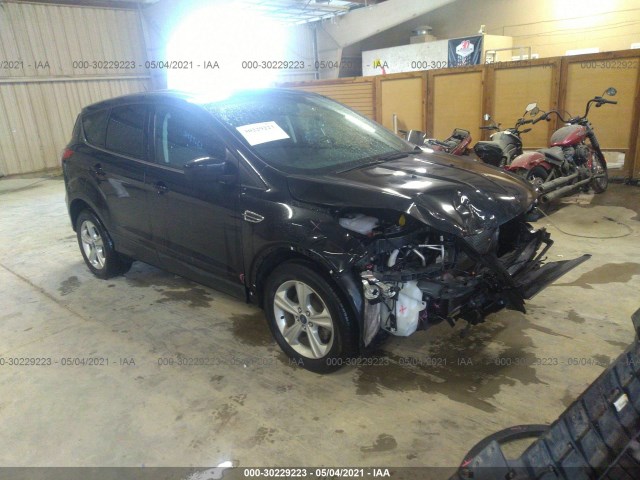 Ford Escape (2014)