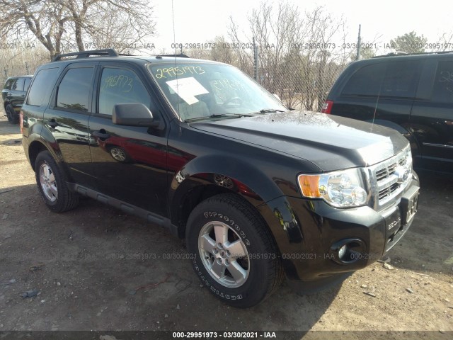 Ford Escape (2010)