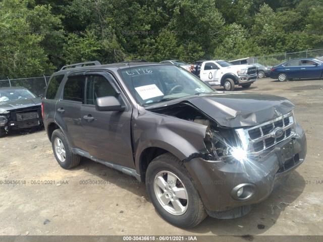 Ford Escape (2011)