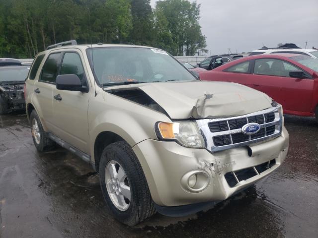 Ford Escape xlt (2011)