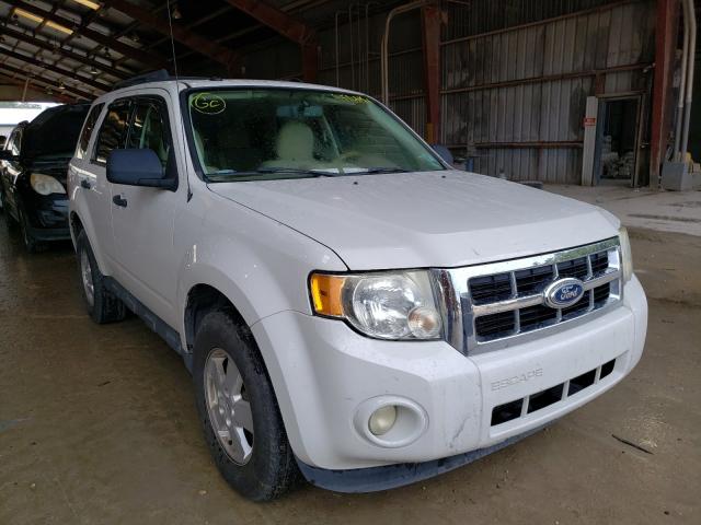 Ford Escape xlt (2011)