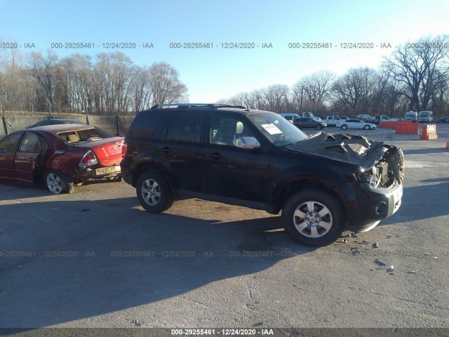 Ford Escape (2012)
