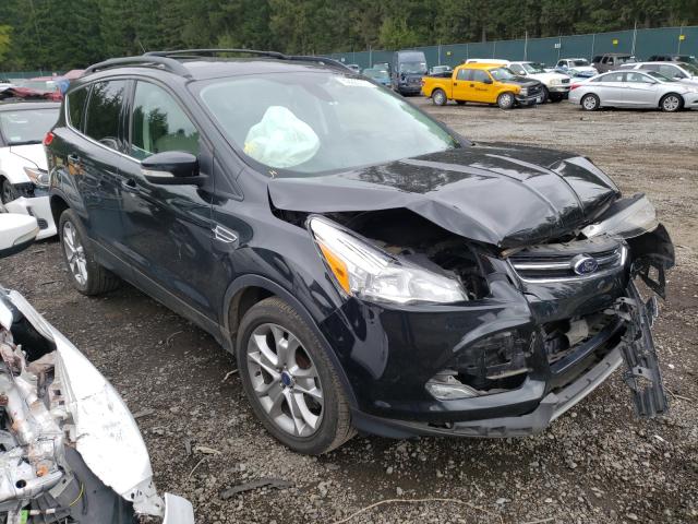 Ford Escape sel (2013)