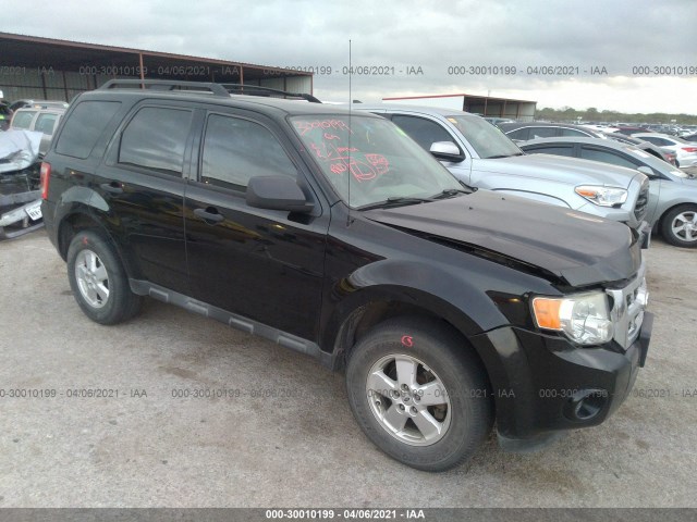 Ford Escape (2010)