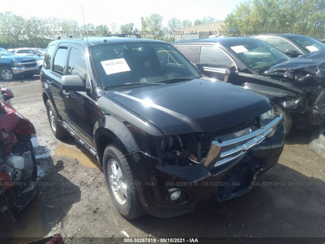 Ford Escape (2010)