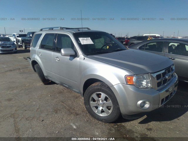 Ford Escape (2010)