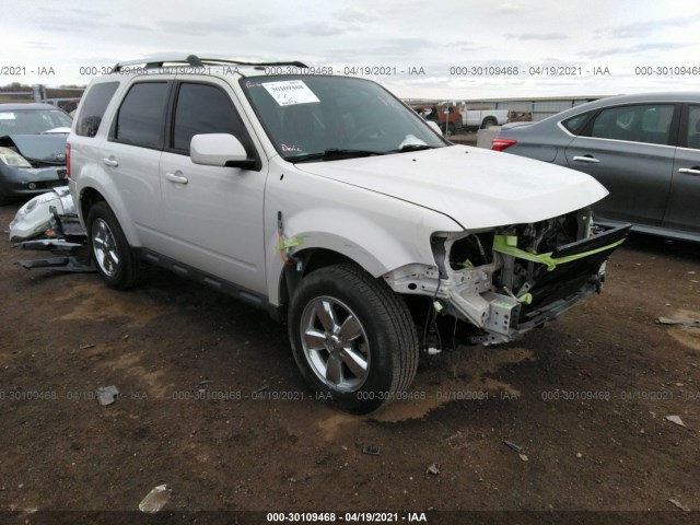 Ford Escape (2010)
