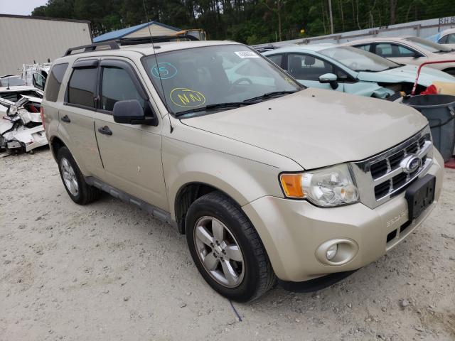Ford Escape xlt (2010)