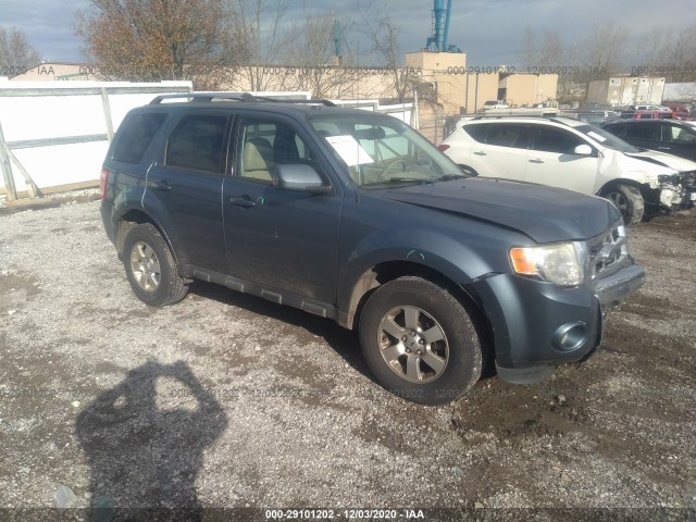 Ford Escape (2011)